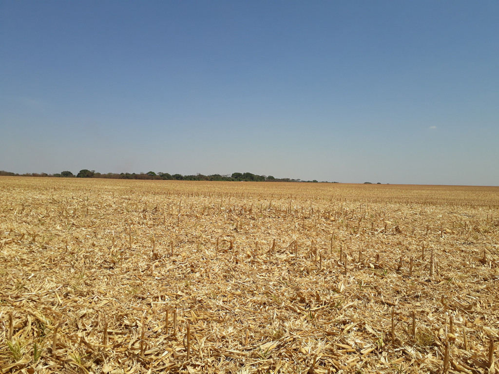 O ponto branco no centro da foto é o carro, visto a partir da região da confluência – the white dot in the center of the photo is the car, viewed from the confluence region