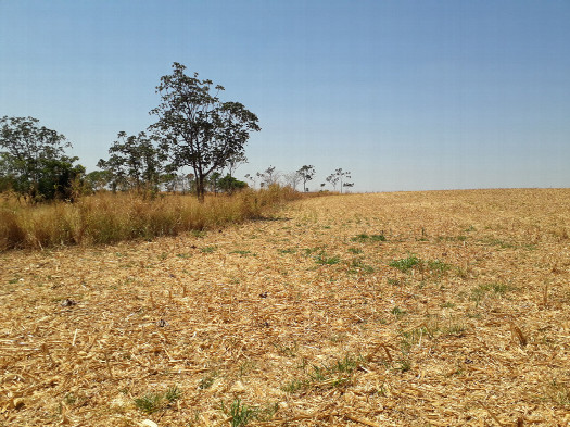 #1: Visão geral – general view