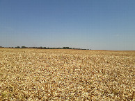 #7: O ponto branco no centro da foto é o carro, visto a partir da região da confluência – the white dot in the center of the photo is the car, viewed from the confluence region