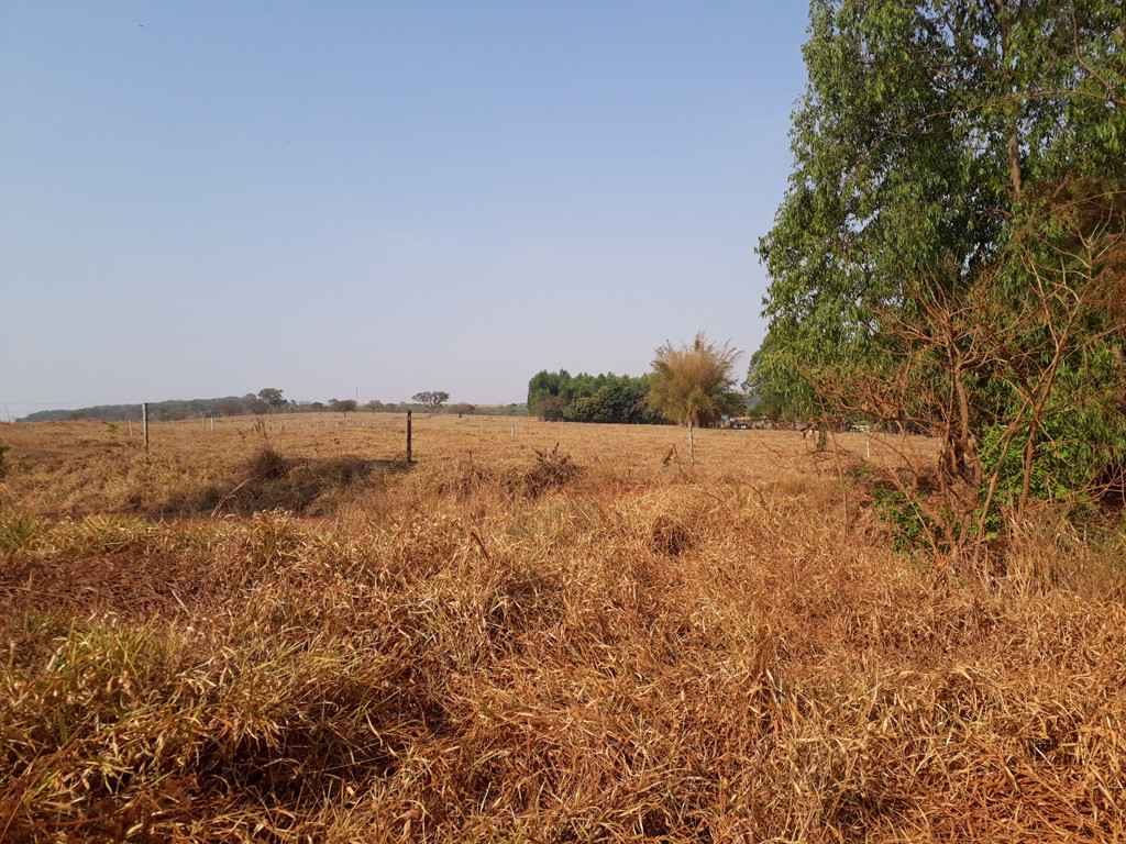 Visão geral – general view