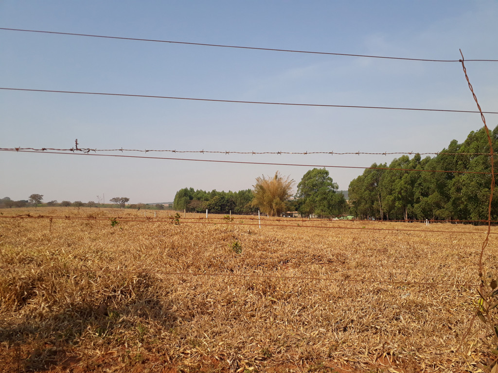 Visão leste e confluência 43 metros adiante – east view and confluence 43 meters ahead