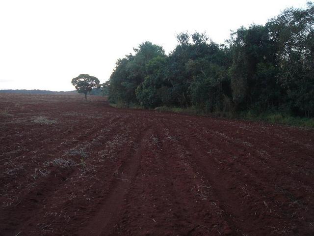 General view of the confluence area