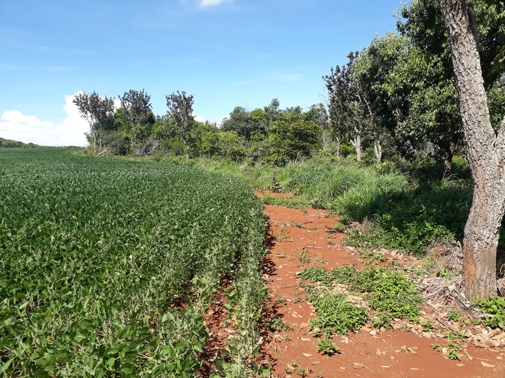 Visão geral - general view