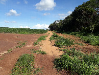 #10: Caminhada até a confluência - hiking to the confluence