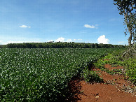 #3: Visão norte - north view