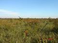 #3: View to South