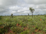 #2: Visão oeste - west view