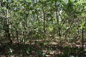 #3: Northern view