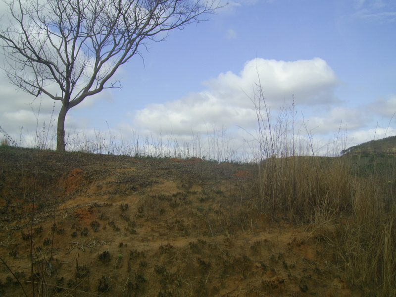 Visão oeste - west view