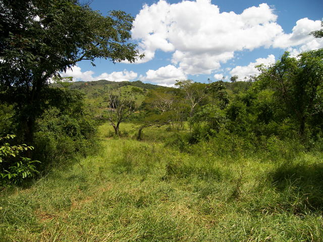 Vista geral a 100 m de distância da confluência (olhando p/ o Sul).