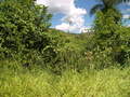 #2: Vista para o Sul.