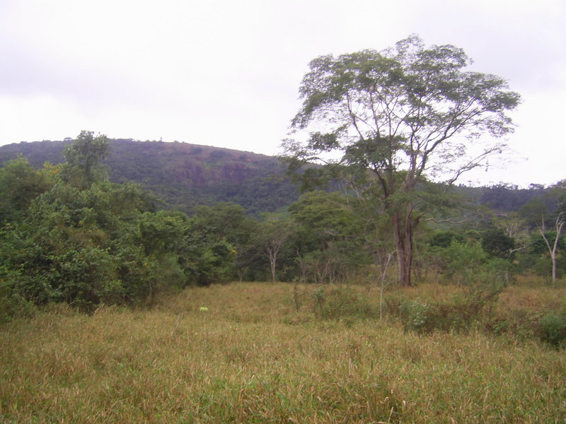 Visão norte - north view