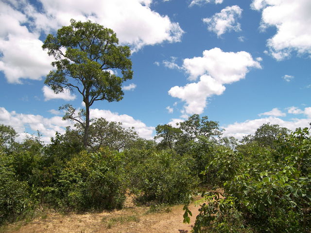 Visão geral da área do ponto da confluência.