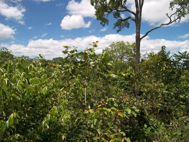 Vista para o Sul.