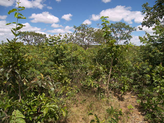 Vista para o Oeste.