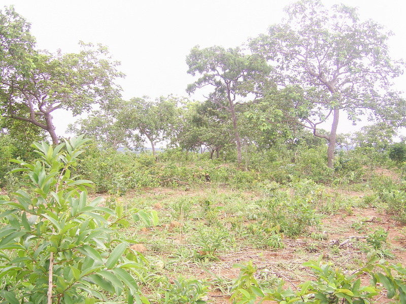 Vista norte - north view