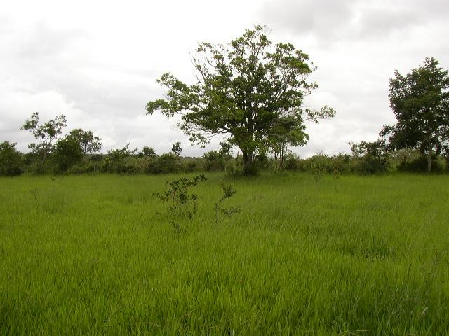 Vista para o Leste