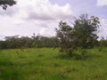 #4: Visão leste - east view