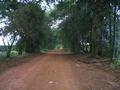 #4: Going to the confluence - State of Minas Gerais