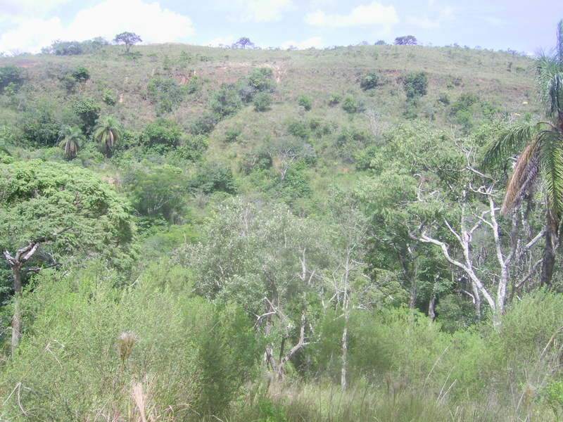 Visão geral - general view