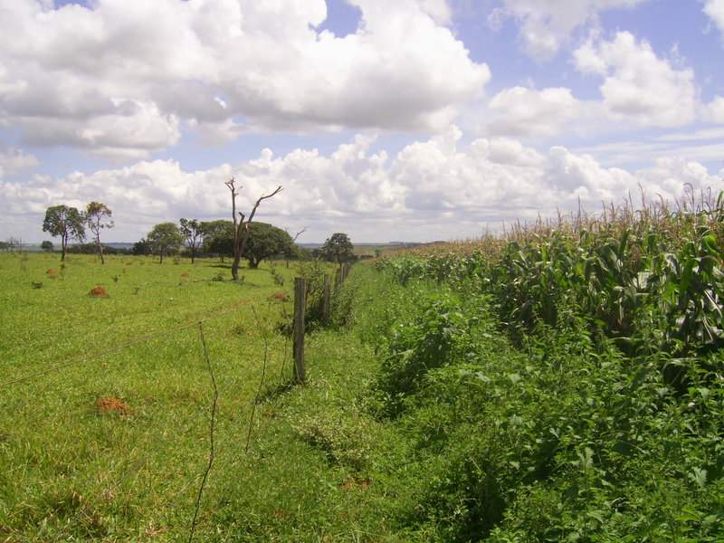 Visão norte - north view