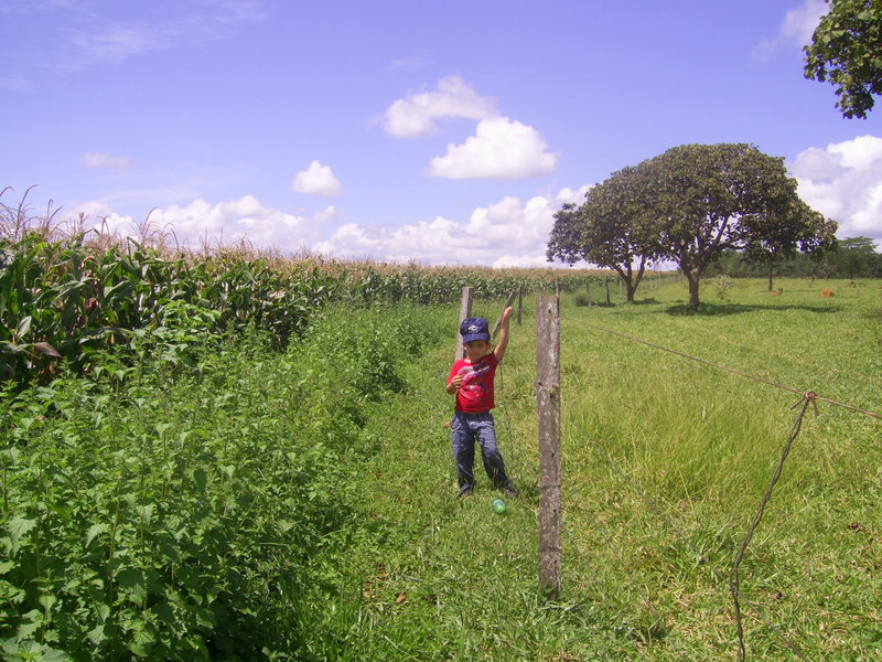 Meu filho - my son