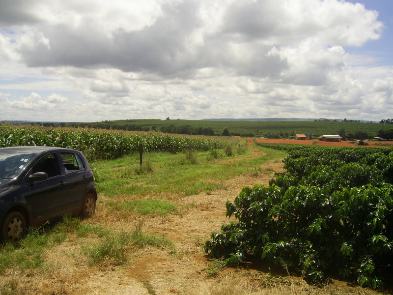 Fazenda próxima da confluência - farm near to the confluence