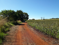 #7: Parei o carro a 600 metros da confluência - I stopped the car 600 meters to the confluence