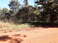 #9: Caminhada parte 2: deixando a estrada e entrando no mato - hiking part 2: leaving the road and entering in the bush