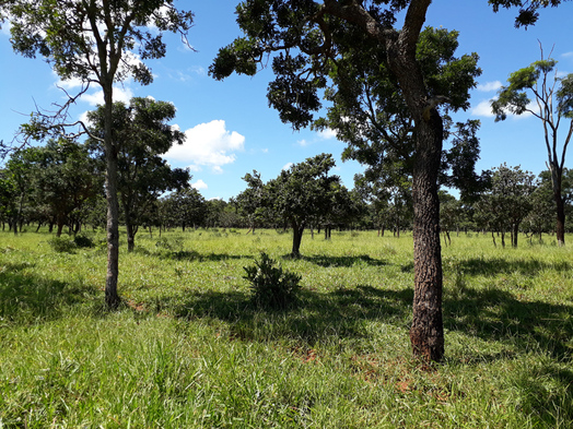 #1: Visão geral - general view