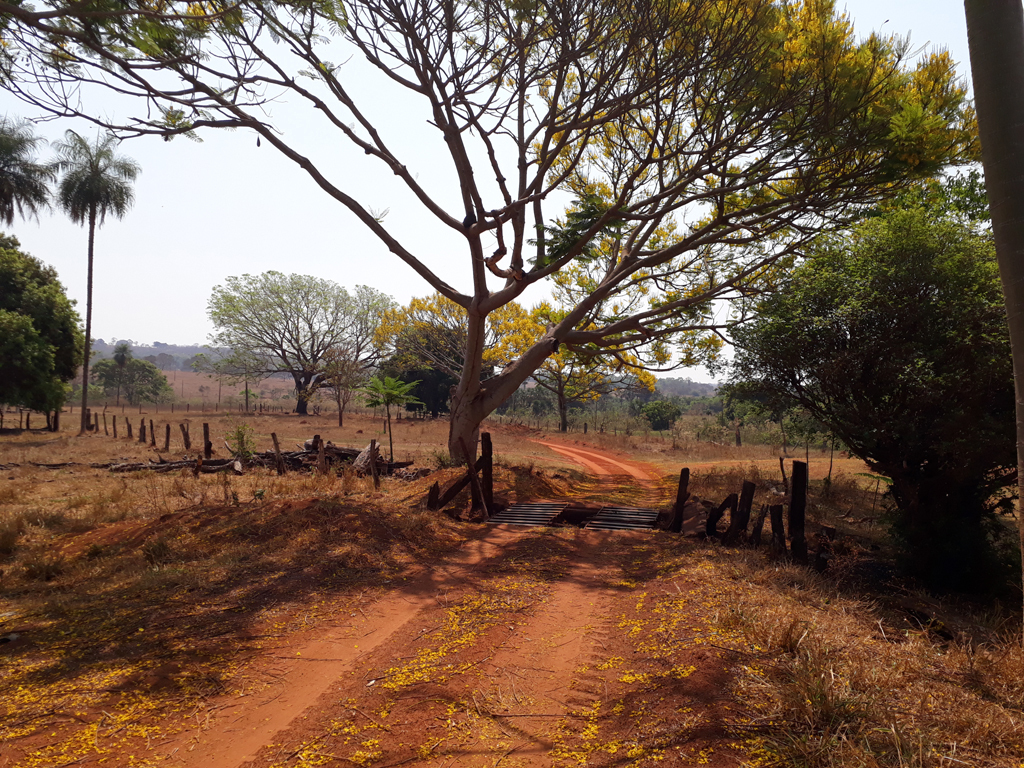 Bela paisagem no caminho para a confluência - beautiful landscape on the way to the confluence