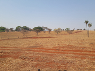 #10: Caminhada até a confluência - hiking up to the confluence