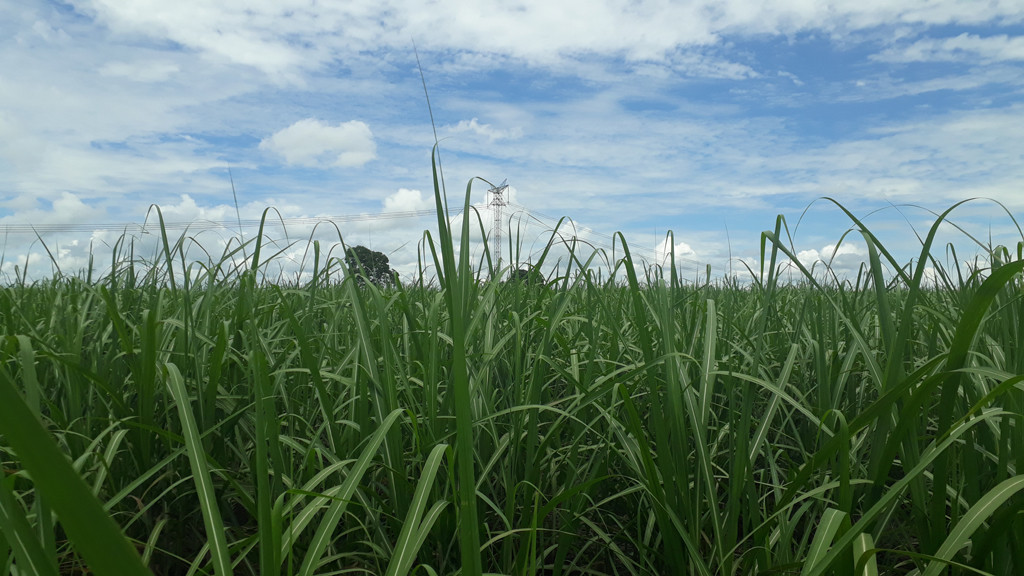 Visão leste - east view