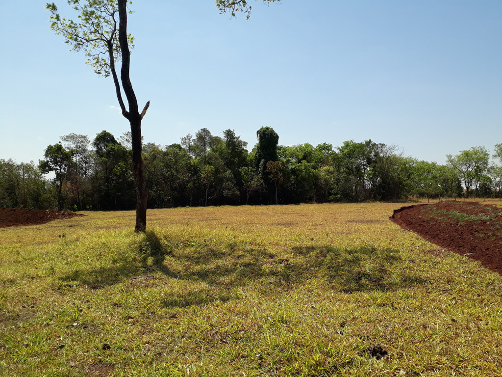 Visão norte – north view