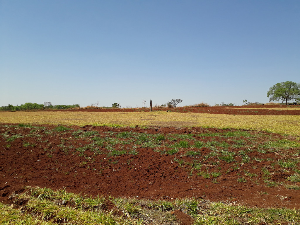 Visão leste – east view