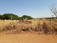 #7: A estrada de terra passa a 190 metros da confluência – the dirt road passes 190 meters to the confluence