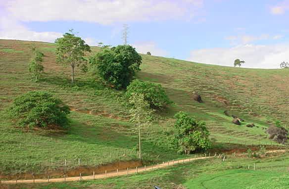Serra Pelada - Córrego das Flores - Pasture area