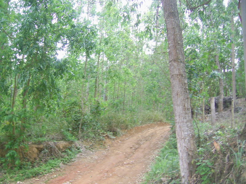 Visão geral - general view