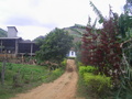 #8: Casa próxima da confluência - house near the confluence