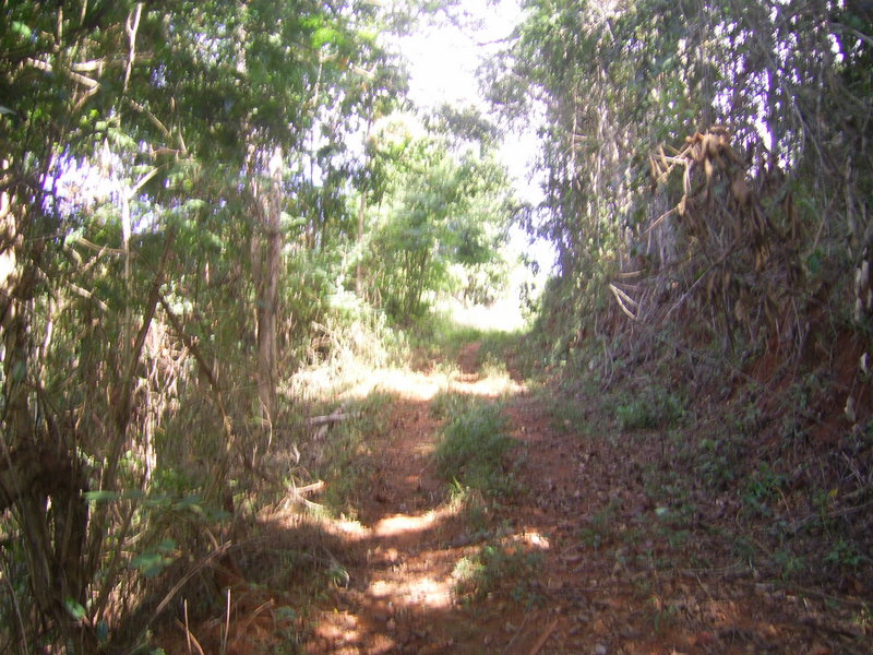 Visão geral - general view