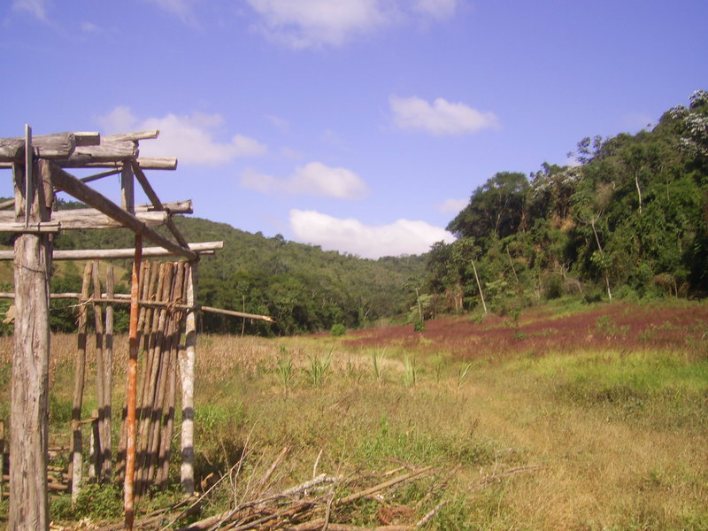 600 metros da confluência - 600 meters close to the confluence