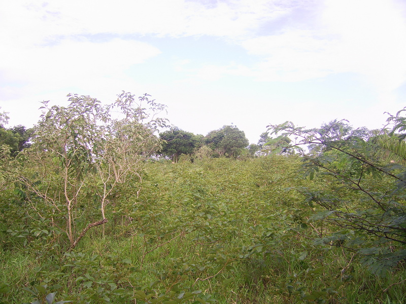 Visão leste - east view