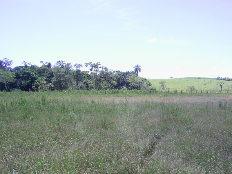 Visão geral - general view