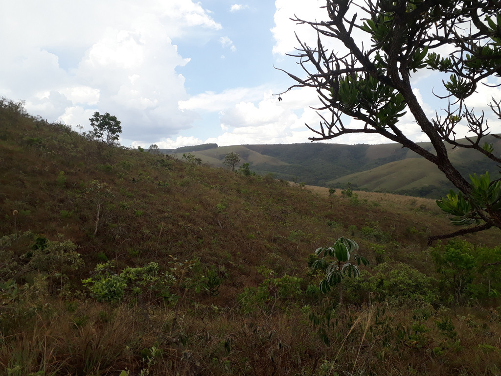 Visão norte - north view