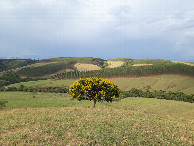 #11: Bela paisagem na caminhada de retorno - beautiful landscape during the hiking back