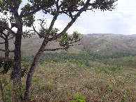 #4: Visão leste e confluência 89 metros adiante - east view and confluence 89 meters ahead