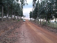 #8: Parei o carro um pouco depois da entrada da fazenda - I stopped the car a bit after the farm entrance