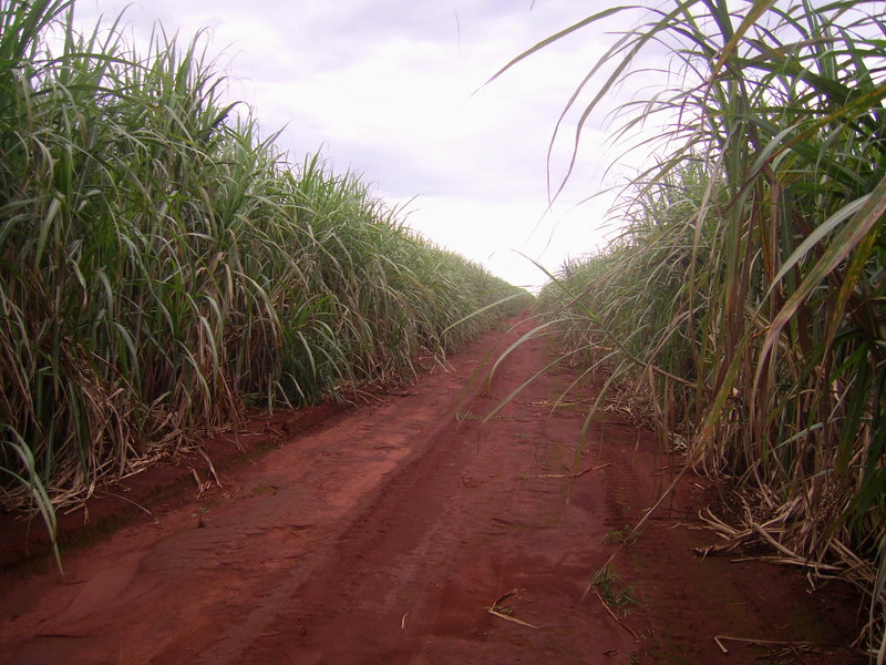 Visão geral - general view