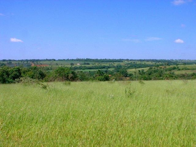 The confluence is in a grassy meadow, at the top of a hill