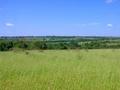 #5: The confluence is in a grassy meadow, at the top of a hill